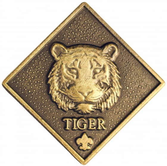 Pin on Tigers!